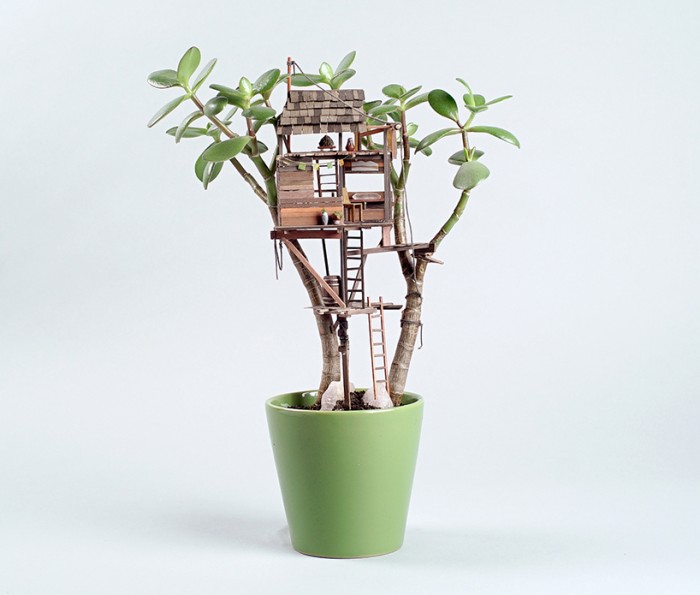 jedediah-corwyn-voltz-somewhere-small-succulent-and-cacti-treehouses-designboom-01