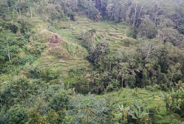 Vistas Bali Pulina