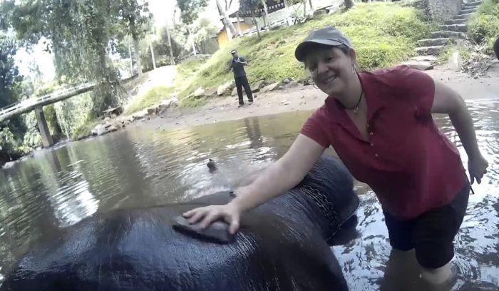 un paseo en elefante