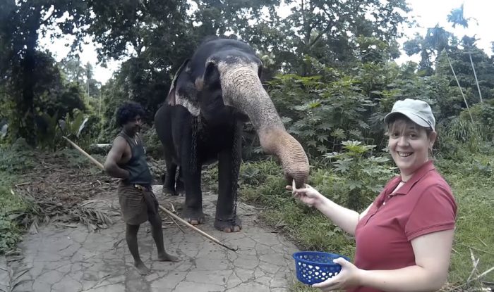 un paseo en elefante